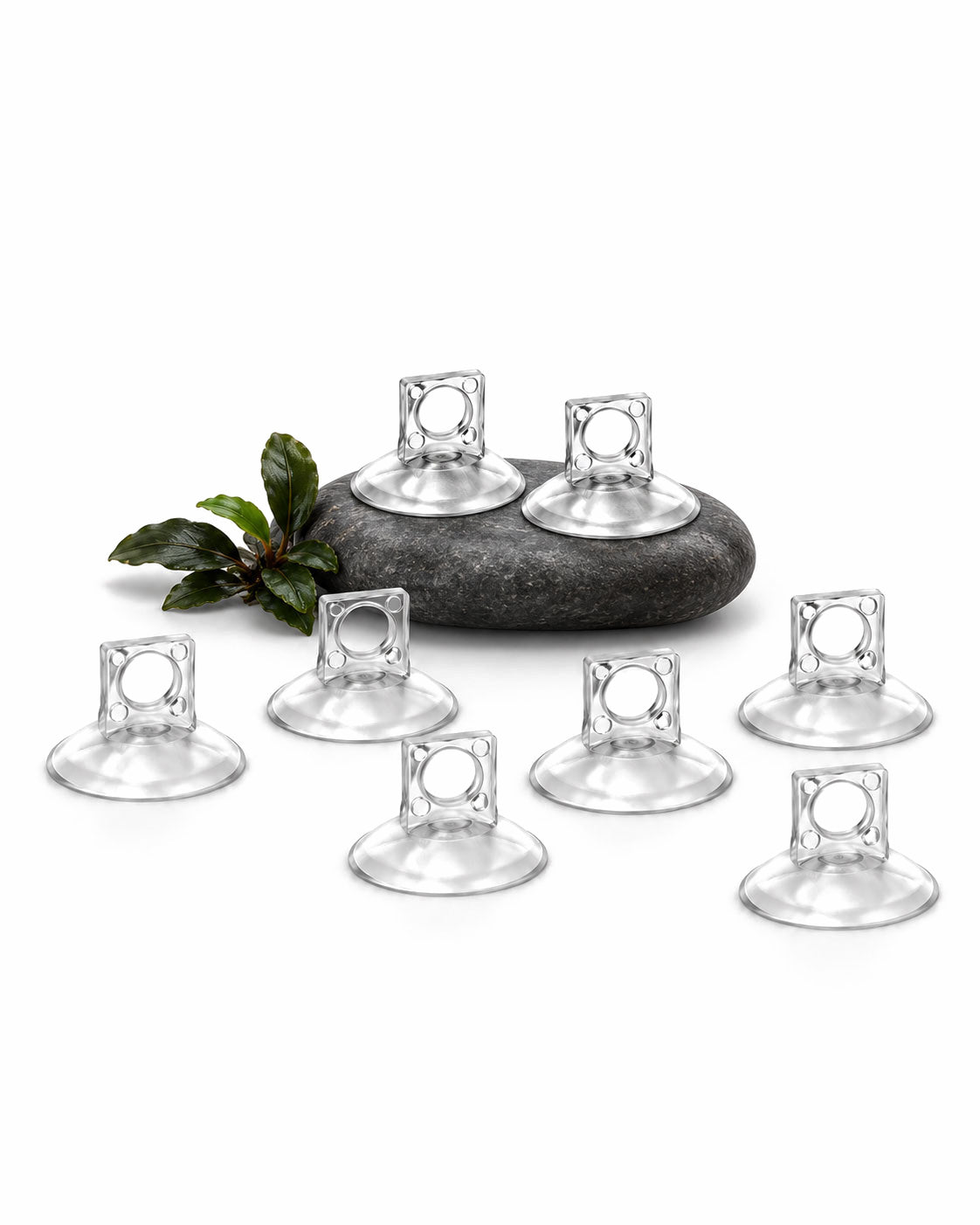 8x High Quality Suction Cup for Tubing 6/4mm and Glass Equipment