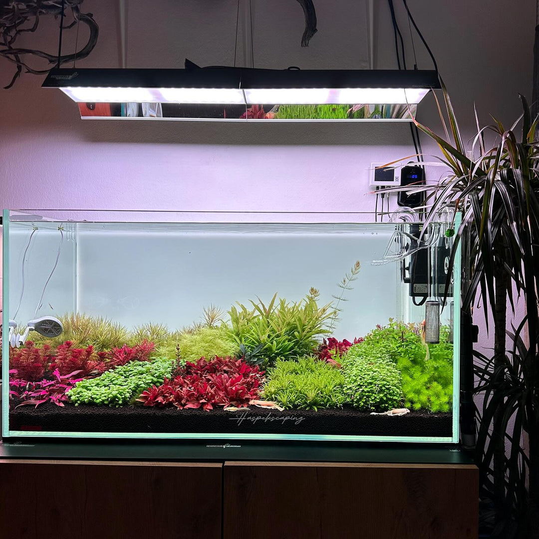 Instagram post by @haspek_scaping