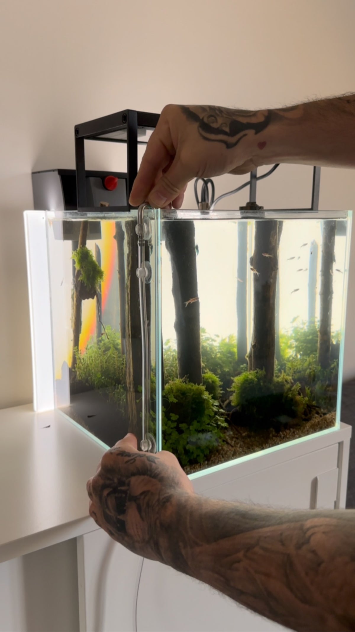 Instagram post by @aquascaping.passion