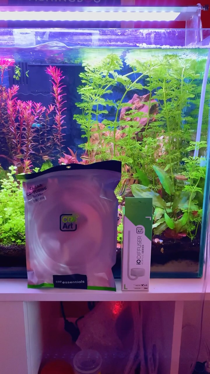 Instagram post by @fishinggbou00
