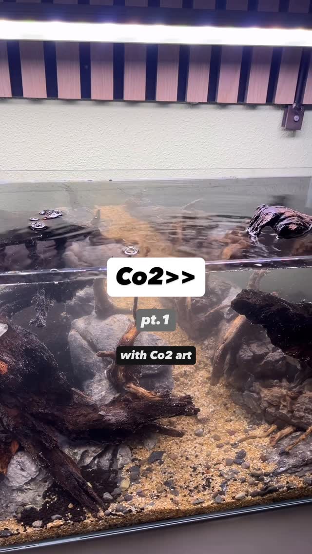 Instagram post by @jj.scaping.a