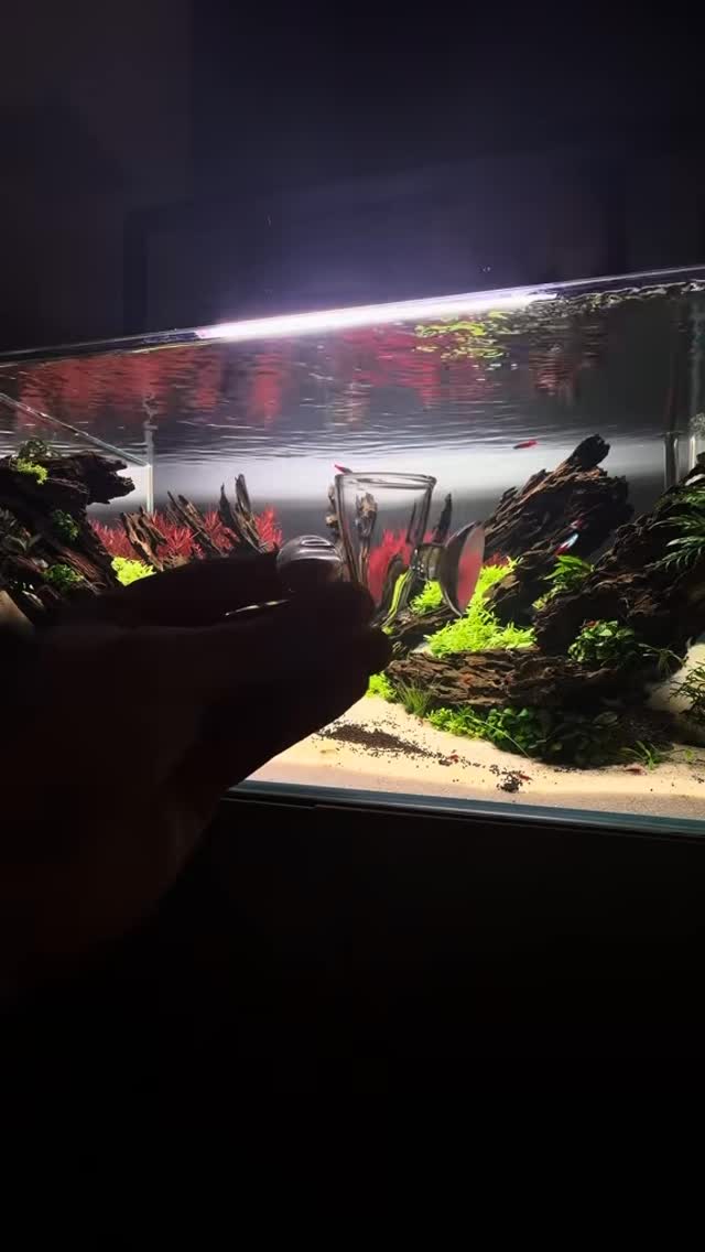 Instagram post by @aquascaping.passion