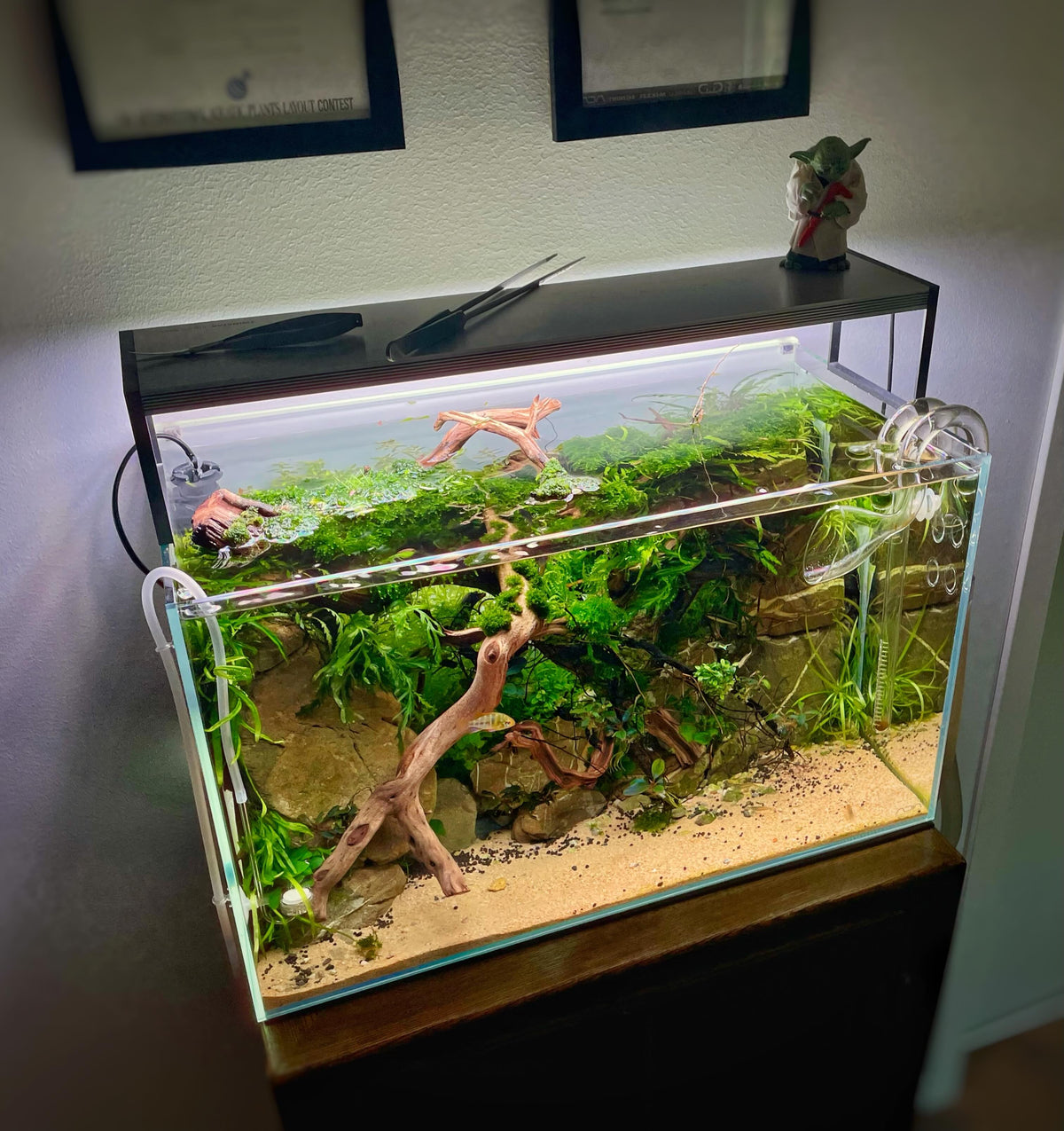 Instagram post by @aquatikswe