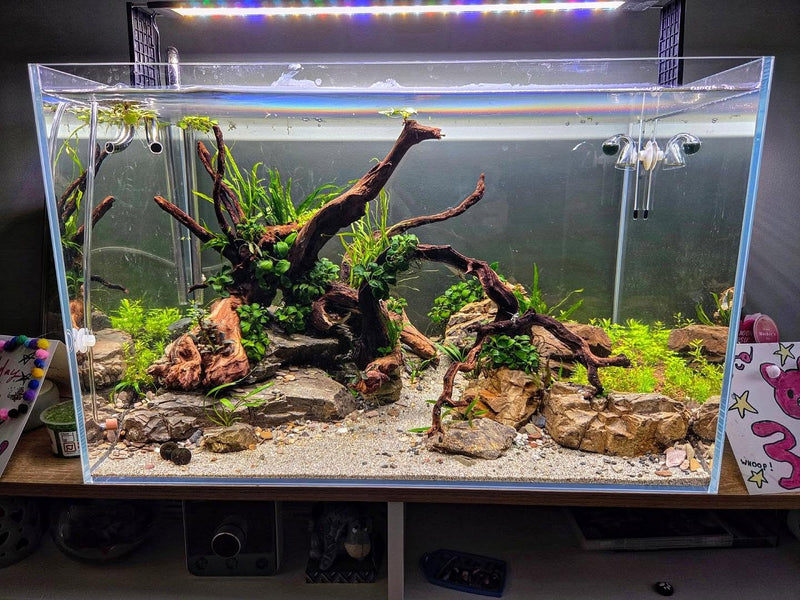 Instagram post by @earl_scapes