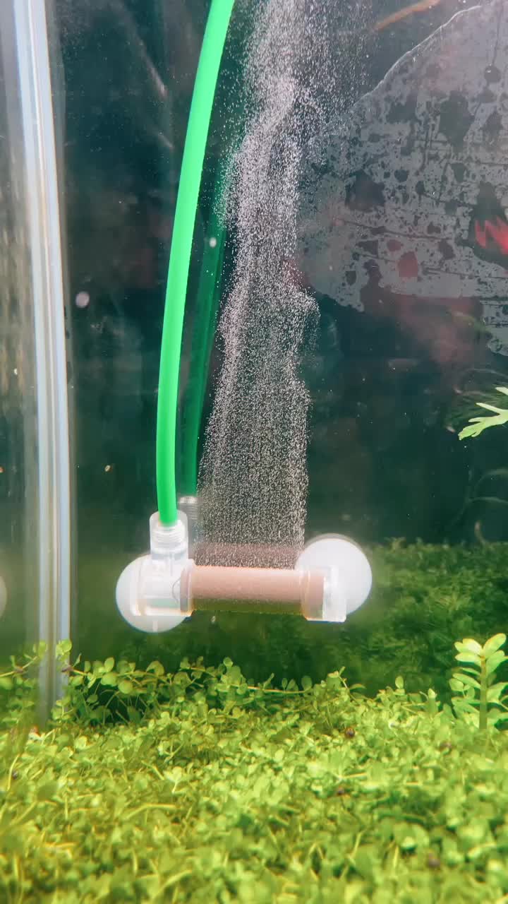 TikTok video by @aquascaping.passion