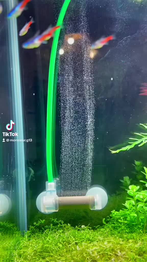 TikTok video by @aquascaping.passion