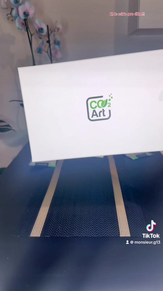 TikTok video by @aquascaping.passion