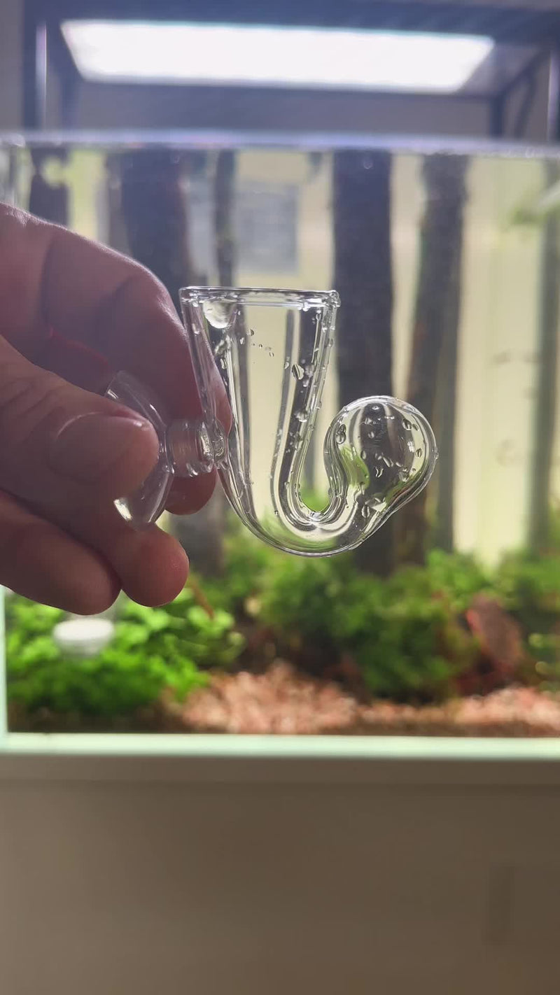 TikTok video by @aquascaping.passion