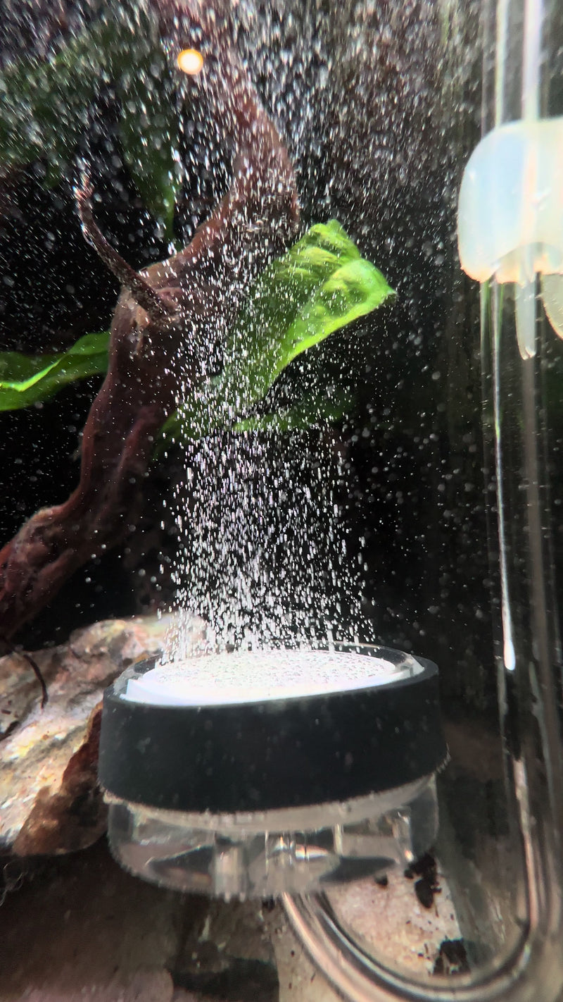 TikTok video by @aquascaping.passion