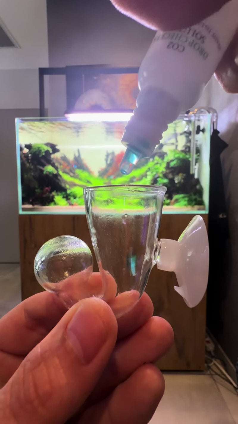 TikTok video by @aquascaping.passion